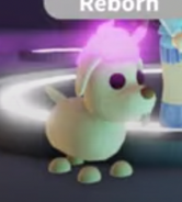Eggnog Dog | Adopt Me! Wiki | Fandom