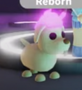 Neon Eggnog Dog (Uncommon)