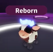 A neon Cow Calf.png (35 KB) The Neon Cow Calf.