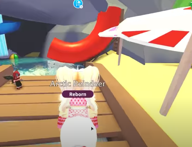 Pool Party Adopt Me Wiki Fandom - summer update roblox adopt me new pool toys and water park