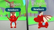 The Dragon in-game.
