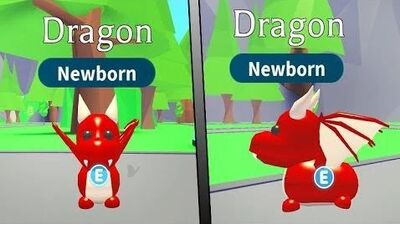 Dragon Adopt Me Wiki Fandom - adopt a dragon game roblox