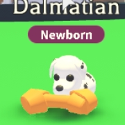 A Dalmatian in-game.