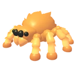 Jumping Spider