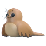 Galapagos Sea Lion
