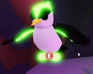 Neon Woodpecker.jpeg (48 KB) The Neon Woodpecker.