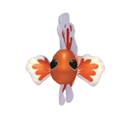 Orange Betta Fish | Adopt Me! Wiki | Fandom