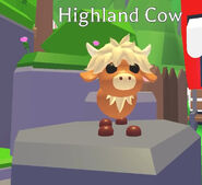 Highland Cow | Adopt Me! Wiki | Fandom