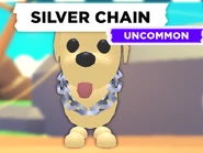 AM Silver Chain.png (242 KB) The Silver Chain on a Dog.