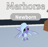 The Merhorse in-game.