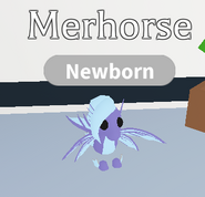 A Merhorse in-game.