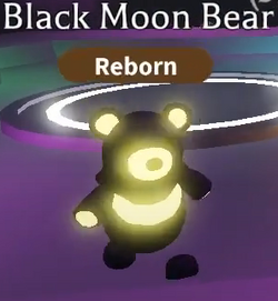 Black Moon Bear, Trade Roblox Adopt Me Items