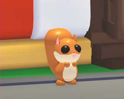 Red Squirrel, Trade Roblox Adopt Me Items