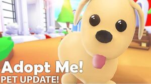 Noticias Adopt Me - En Español ❄️☃️ on X: Actualización de Adopt Me 24 De  Noviembre - 2020 - Cambio de Inicio de Pantalla - Nuevo Perro Robot - 80%  en Artículos