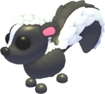 Skunk (Pet)
