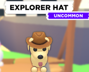 AM Explorer Hat