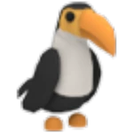 Toucan