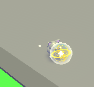 A pet bringing back the Astro Ball when fetching it.