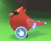 Neon Red Cardinal