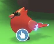 Neon Red Cardinal (Uncommon)