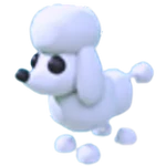 Poodle