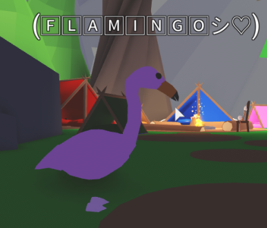 Flamingo Adopt Me Wiki Fandom - buying all the new jungle pets in adopt me roblox youtube