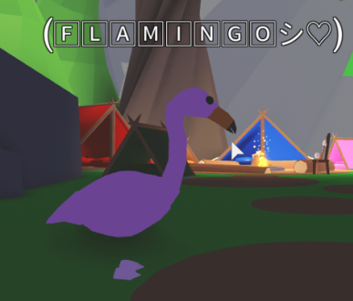 Flamingo Adopt Me Wiki Fandom - nuevas mascotas safari adopt me roblox youtube