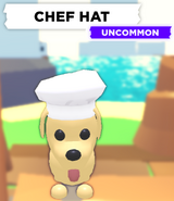 The Chef Hat as seen on a Dog.