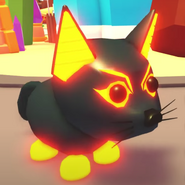 Neon Abyssinian Cat