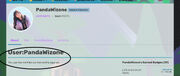 Pandaโs Empty Profile?.jpg