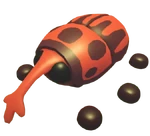 Weevil (Pet)
