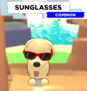 AMSunglassesupdated.jpg (75 KB) The Sunglasses on a Dog.