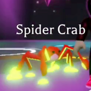 Mega Neon Spider Crab (Ultra-Rare)