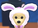 Spring Bunny Hood