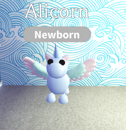 Alicorn, Adopt Me! Wiki