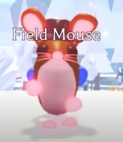 Field Mouse Worth Adopt me Trading Value
