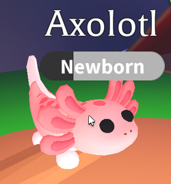 Adopt Me Axolotl name ideas list - Android Gram