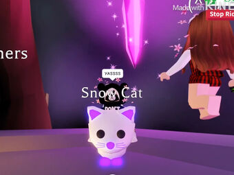 Snow Cat Adopt Me Wiki Fandom - roblox adopt me cat