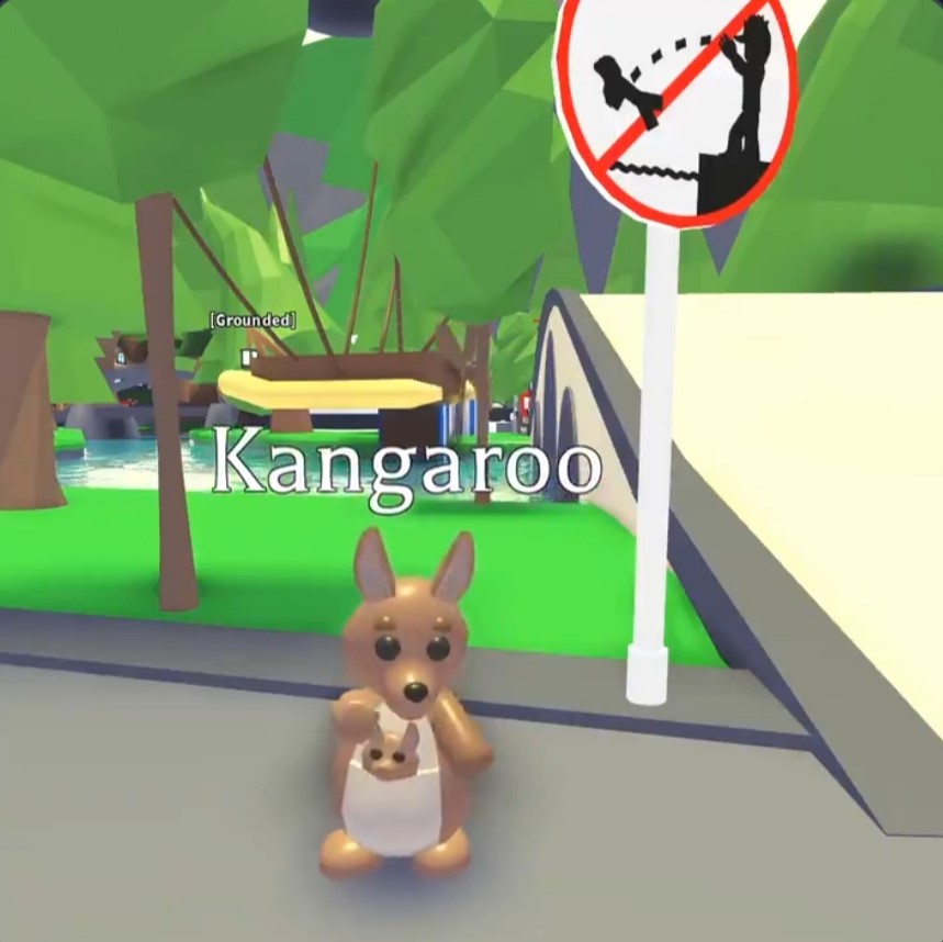 Kangaroo | Adopt Me! Wiki | Fandom