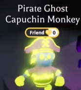 Pirate Ghost Capuchin Monkey (Pet) | Adopt Me! Wiki | Fandom