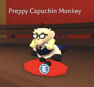 Preppy Capuchin Monkey (Pet) | Adopt Me! Wiki | Fandom