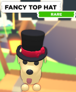 Fancy Top Hat on a Dog