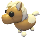 Poney Shetland marron clair