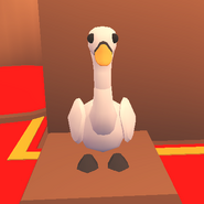 The Swan on display in the Christmas Shop.
