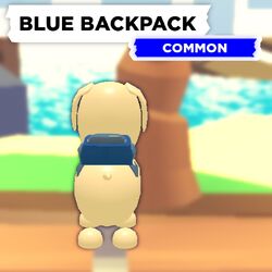 BlueBackpack.jpg