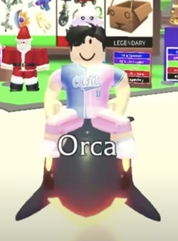 Hungry Orca, Roblox Wiki