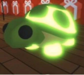 turtle adoptions near me