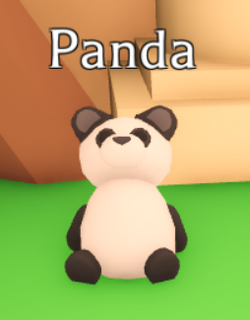 Panda, Adopt Me! Wiki