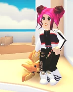 Player holding phoenix plush.png (72 KB) A player holding the Phoenix Plush.