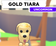 The Gold Tiara as seen on a Dog.